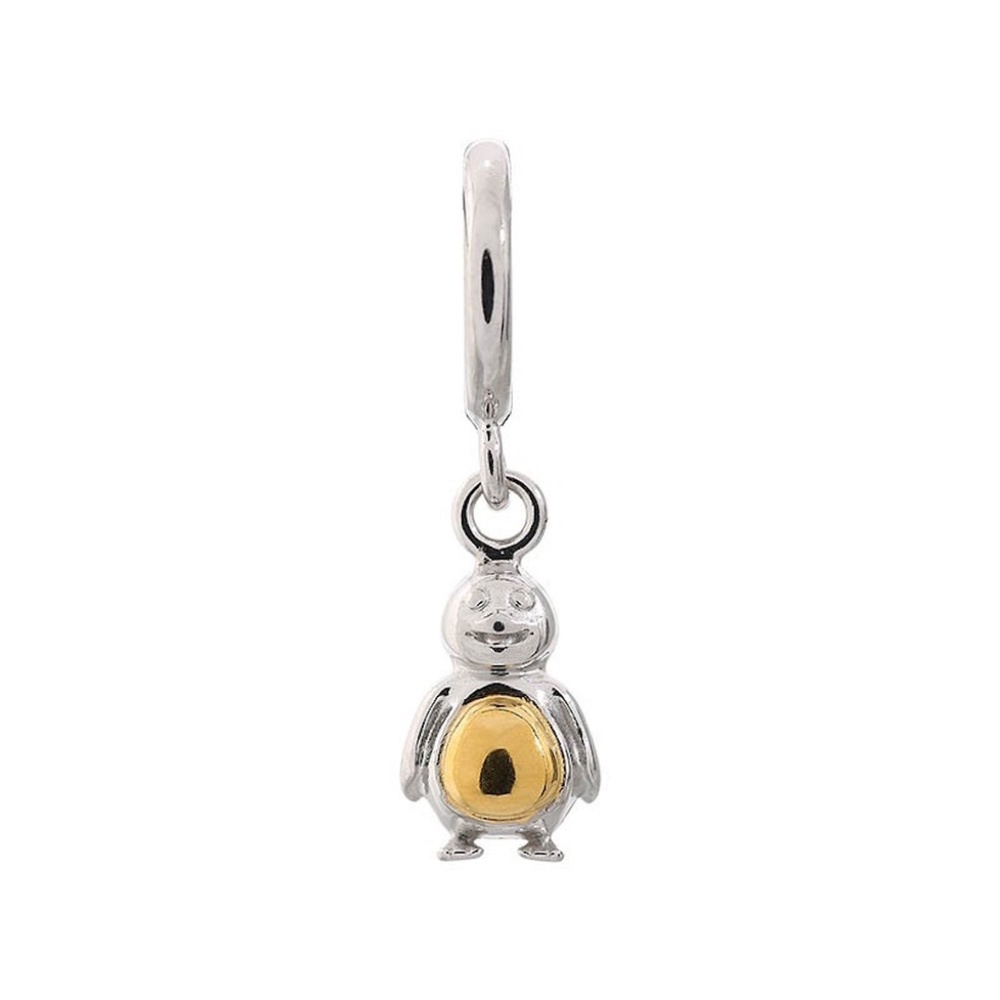 Endless Penguin Silver Charm